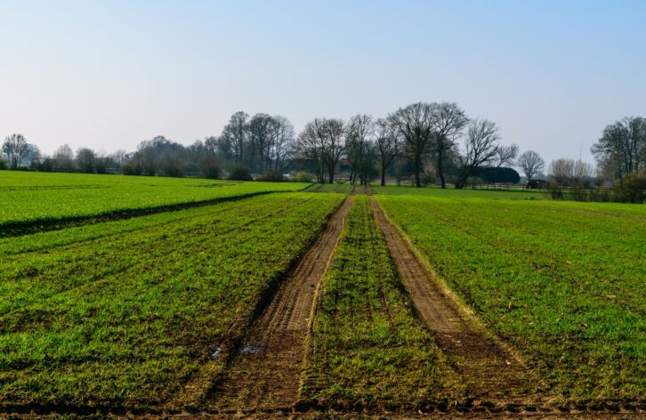 Służebności — gdy sąsiad korzysta z Twojej działki, nie będąc jej właścicielem